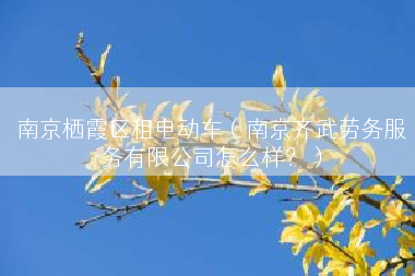 南京栖霞区租电动车（南京齐武劳务服务有限公司怎么样？）