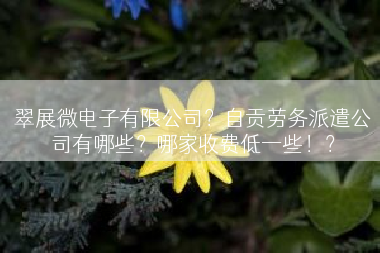翠展微电子有限公司？自贡劳务派遣公司有哪些？哪家收费低一些！？