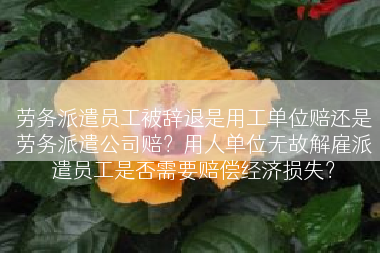 劳务派遣员工被辞退是用工单位赔还是劳务派遣公司赔？用人单位无故解雇派遣员工是否需要赔偿经济损失？