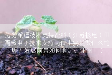 劳务派遣技术支持资料（江苏核电（田湾核电）技术支持岗位主要是做什么的呢？发展前景如何啊。。谢谢！）