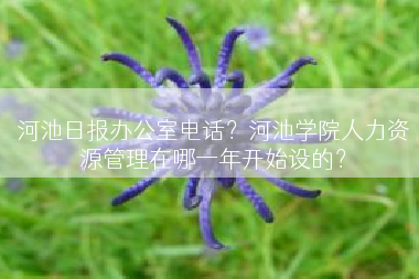 河池日报办公室电话？河池学院人力资源管理在哪一年开始设的？