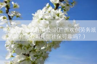 欢创劳务派遣有限公司(广西欢创劳务派遣有限公司代缴社保可靠吗？)