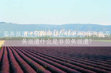 劳务派遣经营许可证在哪里办?什么是劳务派遣什么是非劳务派遣?