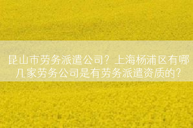 昆山市劳务派遣公司？上海杨浦区有哪几家劳务公司是有劳务派遣资质的？
