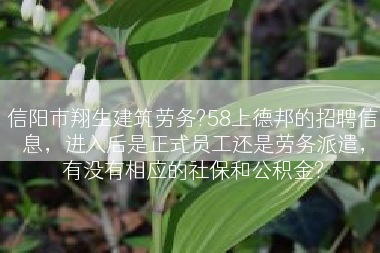 信阳市翔生建筑劳务?58上德邦的招聘信息，进入后是正式员工还是劳务派遣，有没有相应的社保和公积金?
