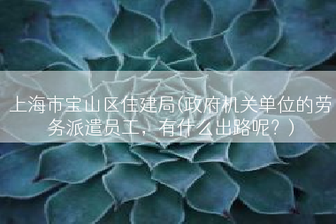 上海市宝山区住建局(政府机关单位的劳务派遣员工，有什么出路呢？)