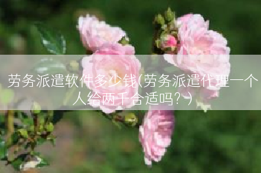 劳务派遣软件多少钱(劳务派遣代理一个人给两千合适吗？)