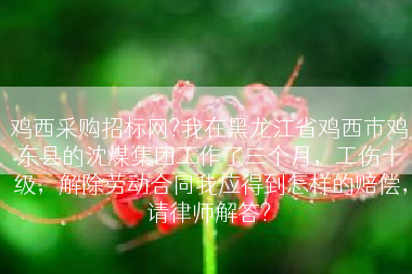 鸡西采购招标网?我在黑龙江省鸡西市鸡东县的沈煤集团工作了三个月，工伤十级，解除劳动合同我应得到怎样的赔偿，请律师解答?