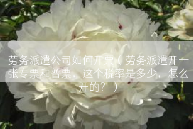 劳务派遣公司如何开票（劳务派遣开一张专票和普票，这个税率是多少，怎么开的？）