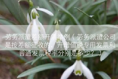 劳务派遣差额开票举例（劳务派遣公司是按差额征收的，开增值税专用发票和普通发票税率分别是多少？）