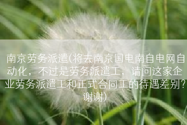 南京劳务派遣(将去南京国电南自电网自动化，不过是劳务派遣工，请问这家企业劳务派遣工和正式合同工的待遇差别？谢谢)
