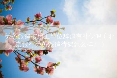 劳务派遣被用工单位辞退有补偿吗（北京银行劳务派遣待遇怎么样？）