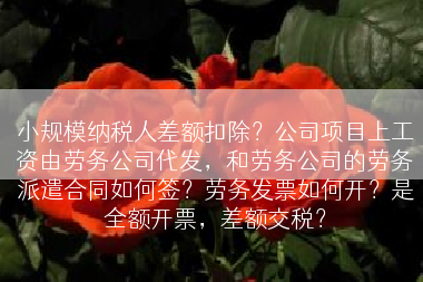 小规模纳税人差额扣除？公司项目上工资由劳务公司代发，和劳务公司的劳务派遣合同如何签？劳务发票如何开？是全额开票，差额交税？