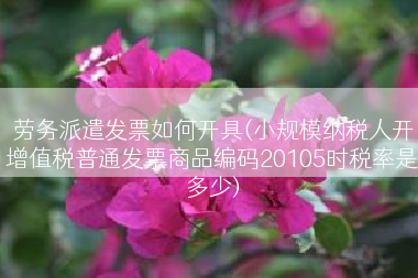劳务派遣发票如何开具(小规模纳税人开增值税普通发票商品编码20105时税率是多少)