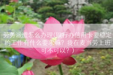 劳务派遣怎么办理(银行办信用卡要稳定的工作有什么要求嘛？我在麦当劳上班可不可以？)