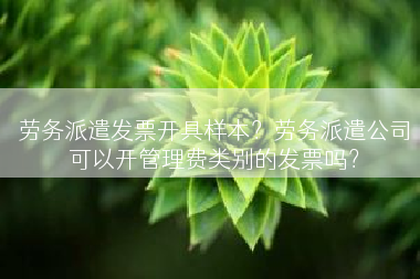 劳务派遣发票开具样本？劳务派遣公司可以开管理费类别的发票吗？