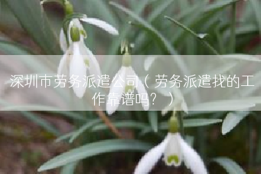 深圳市劳务派遣公司（劳务派遣找的工作靠谱吗？）