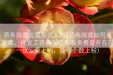 劳务派遣发票怎么入账(劳务派遣如何开发票，代发工资和保险和服务费是开在同一张发票上吗，按哪个数上税)