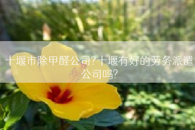 十堰市除甲醛公司?十堰有好的劳务派遣公司吗?