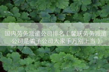 国内劳务派遣公司排名（馨跃劳务派遣公司是骗子公司大家千万别上当）