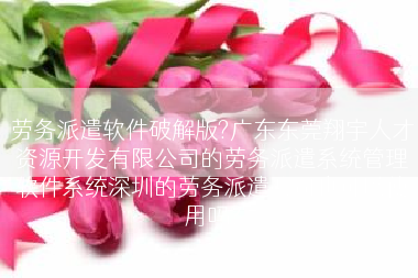 劳务派遣软件破解版?广东东莞翔宇人才资源开发有限公司的劳务派遣系统管理软件系统深圳的劳务派遣公司也可以使用吗?