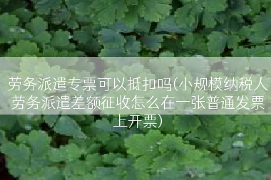 劳务派遣专票可以抵扣吗(小规模纳税人劳务派遣差额征收怎么在一张普通发票上开票)