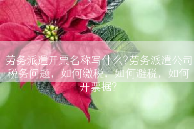 劳务派遣开票名称写什么?劳务派遣公司税务问题，如何缴税，如何避税，如何开票据?
