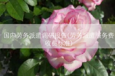 国内劳务派遣调研报告(劳务派遣服务费收费标准)