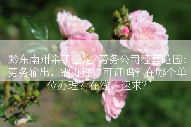 黔东南州亲子鉴定?劳务公司经营范围：劳务输出，需办理许可证吗？在哪个单位办理？在线，速求?