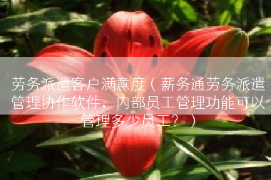 劳务派遣客户满意度（薪务通劳务派遣管理协作软件，内部员工管理功能可以管理多少员工？）