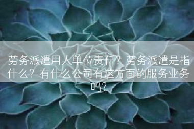 劳务派遣用人单位责任？劳务派遣是指什么？有什么公司有这方面的服务业务吗？