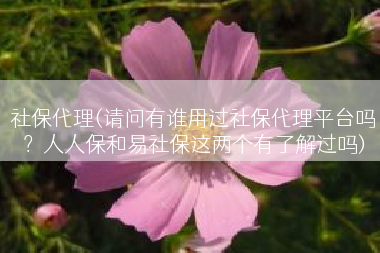 社保代理(请问有谁用过社保代理平台吗？人人保和易社保这两个有了解过吗)