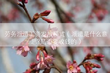 劳务派遣工资发放模式（派遣是什么意思?是否要收钱的）