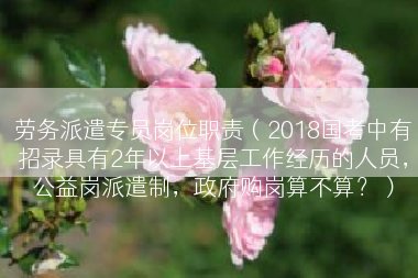 劳务派遣专员岗位职责（2018国考中有招录具有2年以上基层工作经历的人员，公益岗派遣制，政府购岗算不算？）