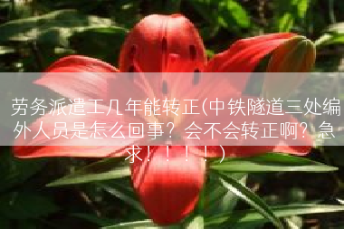 劳务派遣工几年能转正(中铁隧道三处编外人员是怎么回事？会不会转正啊？急求！！！！)