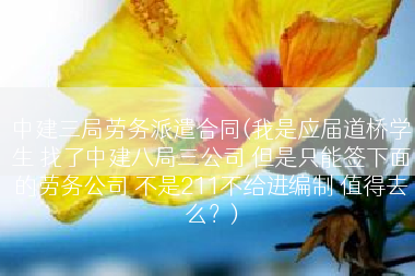 中建三局劳务派遣合同(我是应届道桥学生 找了中建八局三公司 但是只能签下面的劳务公司 不是211不给进编制 值得去么？)