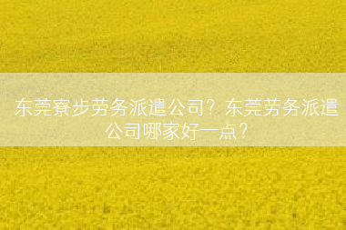 东莞寮步劳务派遣公司？东莞劳务派遣公司哪家好一点？
