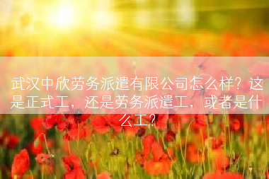 武汉中欣劳务派遣有限公司怎么样？这是正式工，还是劳务派遣工，或者是什么工？