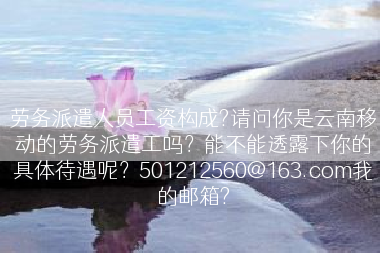 劳务派遣人员工资构成?请问你是云南移动的劳务派遣工吗？能不能透露下你的具体待遇呢？501212560@163.com我的邮箱?