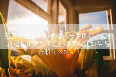 劳务派遣工？如果进入一家国企。劳务派遣和正式员工差在哪里？比如待遇，升职什么的。？