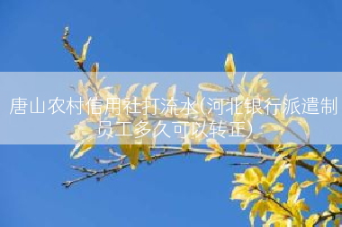 唐山农村信用社打流水(河北银行派遣制员工多久可以转正)