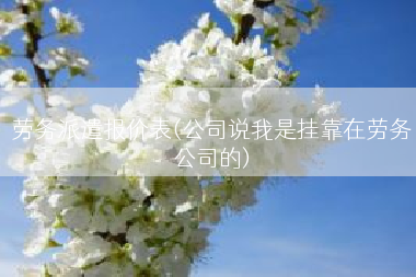劳务派遣报价表(公司说我是挂靠在劳务公司的)