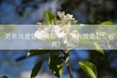 劳务派遣管理费税率（劳务派遣怎么收费？）