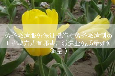 劳务派遣服务保证措施（劳务派遣制员工招聘方式有哪些，派遣业务质量如何衡量）