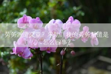 劳务派遣文章？求助，我的劳务派遣是怎么回事？