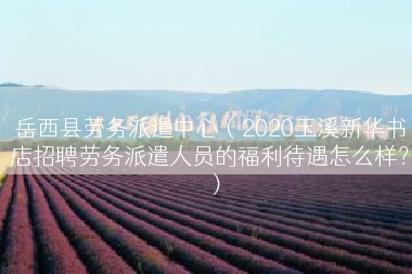 岳西县劳务派遣中心（2020玉溪新华书店招聘劳务派遣人员的福利待遇怎么样？）