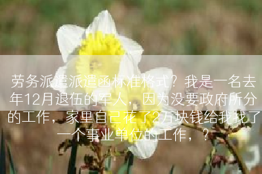 劳务派遣派遣函标准格式？我是一名去年12月退伍的军人，因为没要政府所分的工作，家里自己花了2万块钱给我找了一个事业单位的工作，？