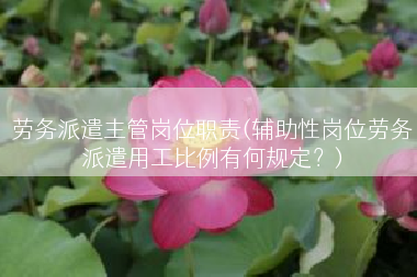 劳务派遣主管岗位职责(辅助性岗位劳务派遣用工比例有何规定？)