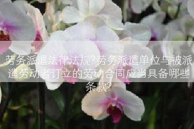 劳务派遣法律法规?劳务派遣单位与被派遣劳动者订立的劳动合同应当具备哪些条款?