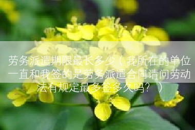 劳务派遣期限最长多少（我所在的单位一直和我签的是劳务派遣合同请问劳动法有规定最多签多久吗？）